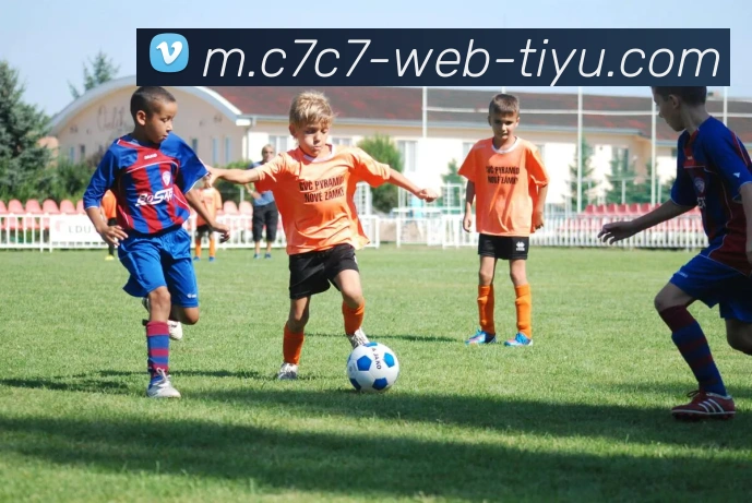 C7C7娱乐平台生态图